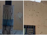 بالفيديو.. الصراصير تعطل عمل مدرسة وتجتاح الحرم المكي في السعودية