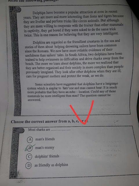 تسريب امتحان الانجليزى للصف الثالث الاعدادى 2019 (شاومينج ) امتحانات الصف الثالث الاعدادى الترم الاول 2019 بالاجابة النموذجية .. ورقة امتحانات الصف الثالث الاعدادى الترم الاول 2019 كاملة