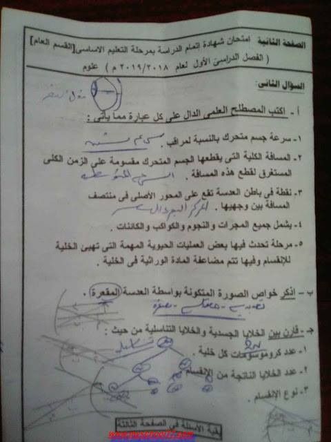 امتحان علوم الصف الثالث الاعدادى الترم الاول 2019 .. امتحان العلوم الصف الثالث الاعدادي الترم الاول
