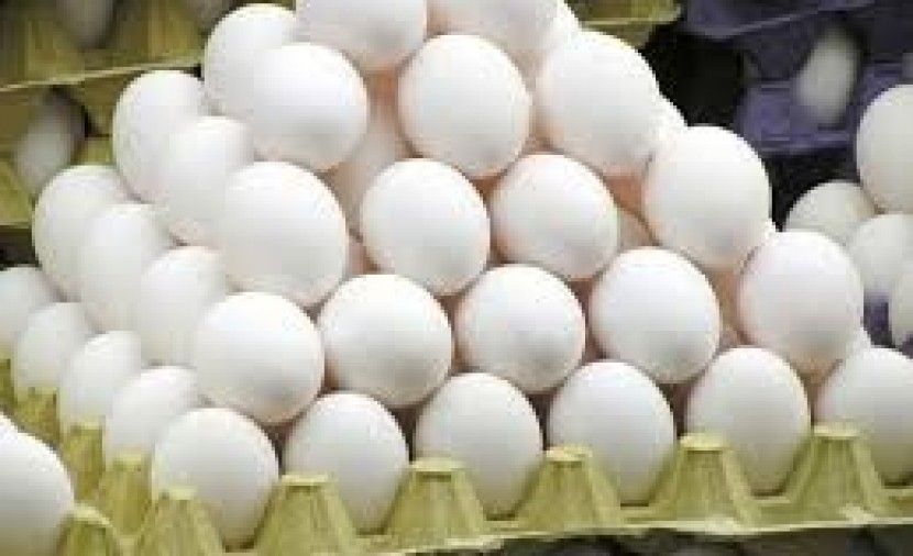 هذا ما يحدث لجسمك إذا تناولت البيض يومياً