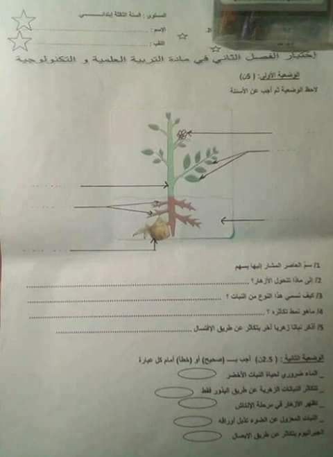 نماذج اختبارات السنة الثالثة ابتدائي 2019 الفصل الثاني