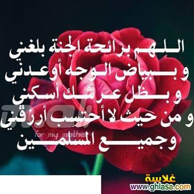 مباركات شهر رجب 2019 - 1440 "كـــــــــــــــــل عام وأنتم بخير"