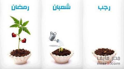 مباركات شهر رجب 2019 - 1440 "كـــــــــــــــــل عام وأنتم بخير"