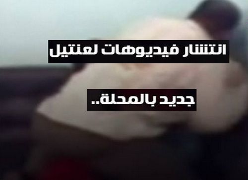 انتشار فيديوهات لـ “عنتيل” جديد بالمحلة وأول تعليق لأمن الغربية