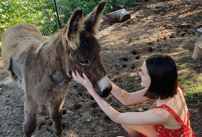 بالصور .. علاقة حب بين "حمار" ومغنية البوب "شارلوت لورانس "