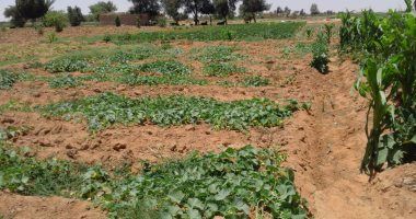 10 قوانين ملحة أقرها البرلمان نهائيا تحقق طفرة تشريعية.. التصالح فى مخالفات البناء وسوق الغاز...