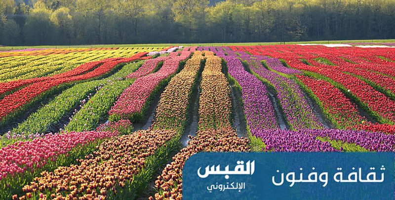 ما الذي يجمع بين «النوروز» و«شمّ النسيم»؟