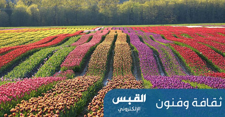 ما الذي يجمع بين «النوروز» و«شمّ النسيم»؟