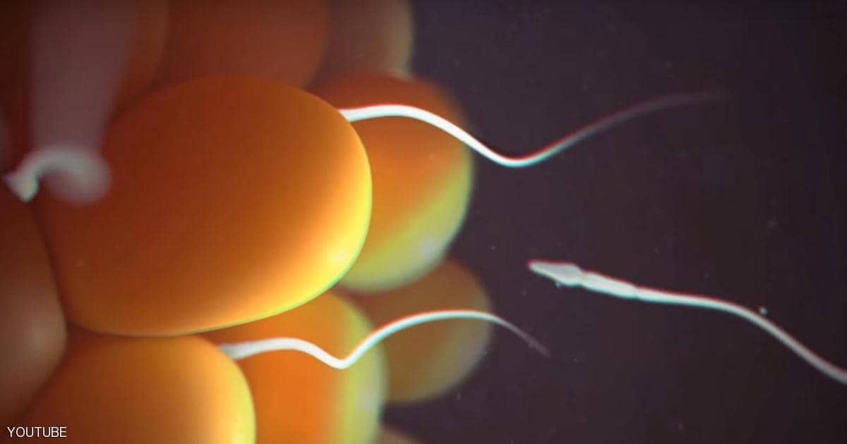 أول ولادة في العالم عبر نسيج خصية مجمّد