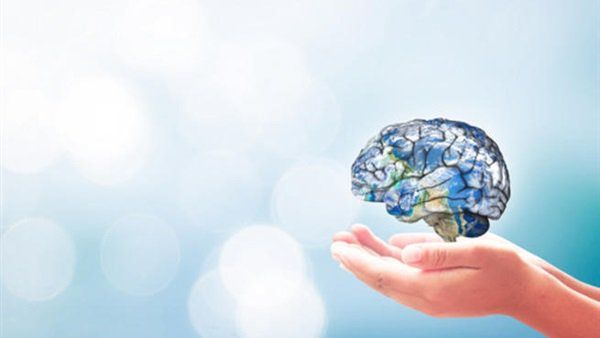 اليوم .. الإسكندرية تحتفل بـ اليوم العالمي للصحة 2019