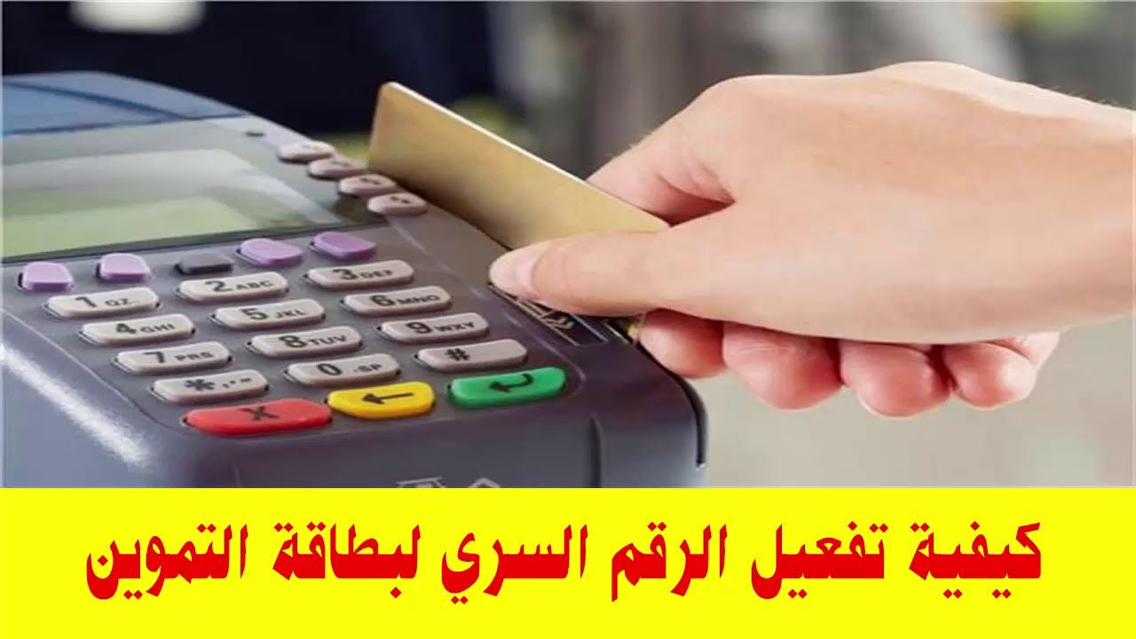 رابط موقع وزارة التموين الرسمي www.tamwin.com.eg 2019 الرقم السري تحديث البيانات وتظلمات المرحلة...