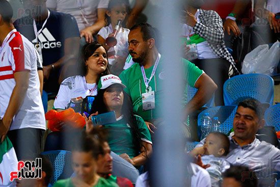 صور.. مشجع زملكاوى يدعم الجزائر أمام غينيا
