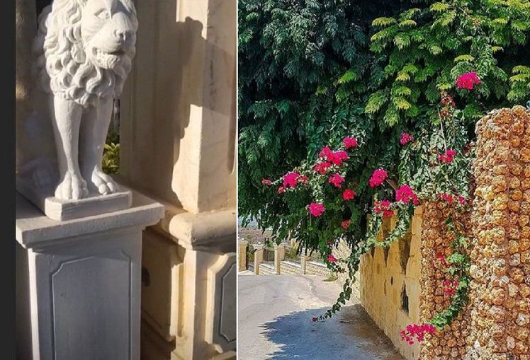 ابنة هيفاء وهبي تستعرض منزل والدها وتنشر صورة لشقيقها..بالصور