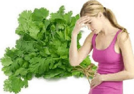 فوائد مغلي البقدونس للدورة الشهرية عند النساء عرفها الفراعنة منذ القدم