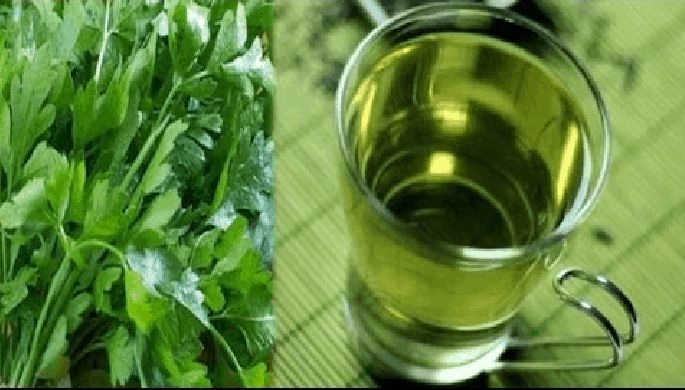 فوائد مغلي البقدونس للدورة الشهرية عند النساء عرفها الفراعنة منذ القدم