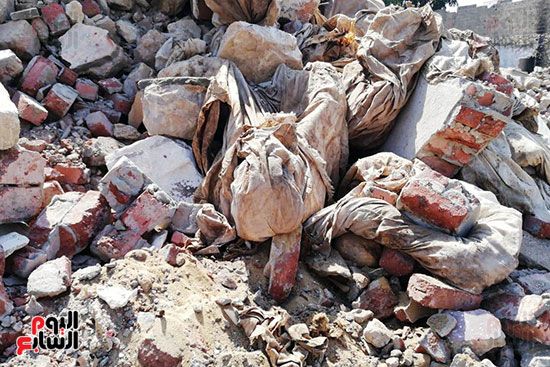 رفات الموتى طعام للكلاب بمقابر عين الحياة.. الأهالى: محافظة القاهرة نقلت الجبانات و"نسيت"...