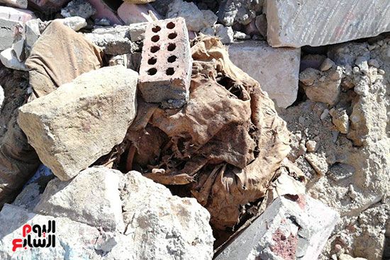 رفات الموتى طعام للكلاب بمقابر عين الحياة.. الأهالى: محافظة القاهرة نقلت الجبانات و"نسيت"...