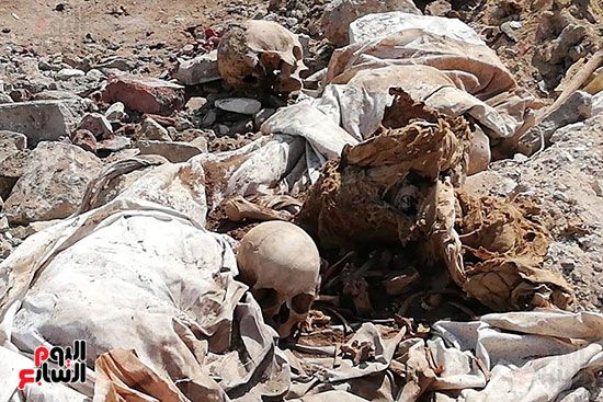 رفات الموتى طعام للكلاب بمقابر عين الحياة.. الأهالى: محافظة القاهرة نقلت الجبانات و"نسيت"...