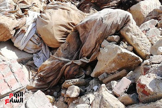 رفات الموتى طعام للكلاب بمقابر عين الحياة.. الأهالى: محافظة القاهرة نقلت الجبانات و"نسيت"...