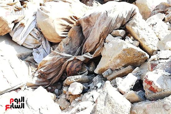 رفات الموتى طعام للكلاب بمقابر عين الحياة.. الأهالى: محافظة القاهرة نقلت الجبانات و"نسيت"...