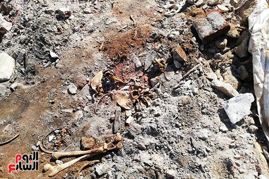 رفات الموتى طعام للكلاب بمقابر عين الحياة.. الأهالى: محافظة القاهرة نقلت الجبانات و"نسيت"...