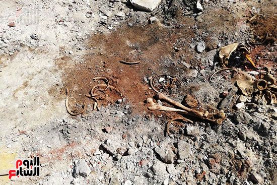 رفات الموتى طعام للكلاب بمقابر عين الحياة.. الأهالى: محافظة القاهرة نقلت الجبانات و"نسيت"...