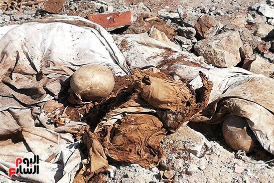 رفات الموتى طعام للكلاب بمقابر عين الحياة.. الأهالى: محافظة القاهرة نقلت الجبانات و"نسيت"...