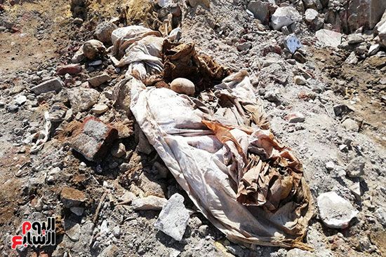 رفات الموتى طعام للكلاب بمقابر عين الحياة.. الأهالى: محافظة القاهرة نقلت الجبانات و"نسيت"...