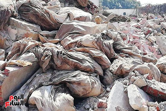 رفات الموتى طعام للكلاب بمقابر عين الحياة.. الأهالى: محافظة القاهرة نقلت الجبانات و"نسيت"...