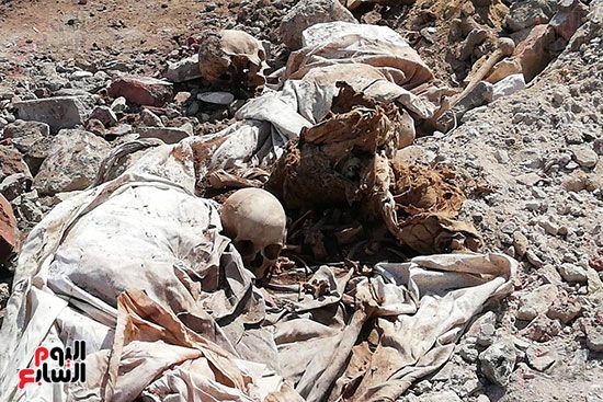 رفات الموتى طعام للكلاب بمقابر عين الحياة.. الأهالى: محافظة القاهرة نقلت الجبانات و"نسيت"...