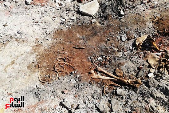 رفات الموتى طعام للكلاب بمقابر عين الحياة.. الأهالى: محافظة القاهرة نقلت الجبانات و"نسيت"...