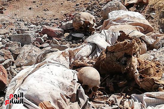 رفات الموتى طعام للكلاب بمقابر عين الحياة.. الأهالى: محافظة القاهرة نقلت الجبانات و"نسيت"...