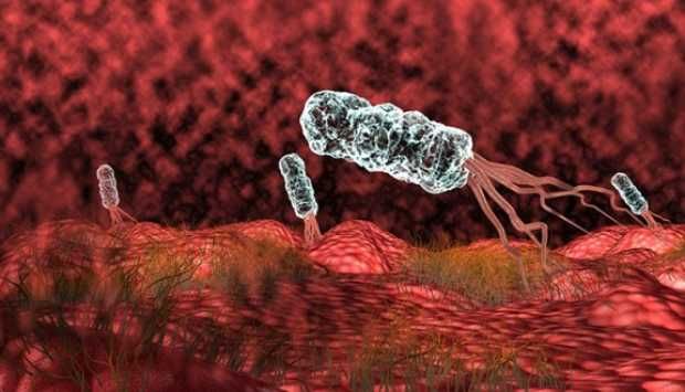 إنفوجراف .. كيف تحمى نفسك من جرثومة المعدة؟