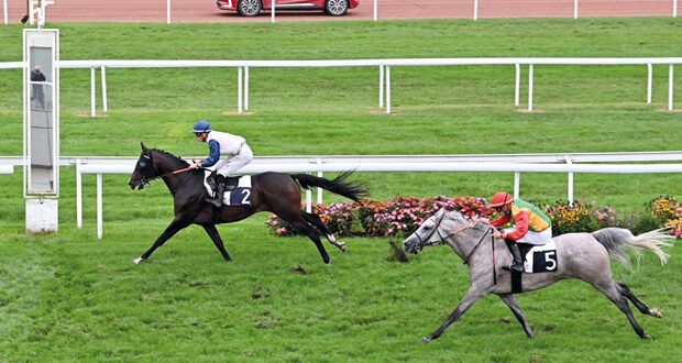 الفرس فطينة للخيالة السلطانية تحقق المركز الثاني على مضمار بوردو الفرنسي