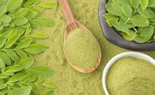 الشجرة معجزة المعجزات .. تعالج 40 مرض وتسيطر على مستوى السكر بشكل مذهل وتقوي الذاكرة ومئات الفوائد الأخرى التى لا تحصى.؟