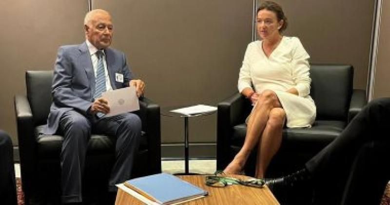 أبو الغيط يدعو سلوفينيا لدعم القضايا العربية خلال عضويتها بمجلس الأمن