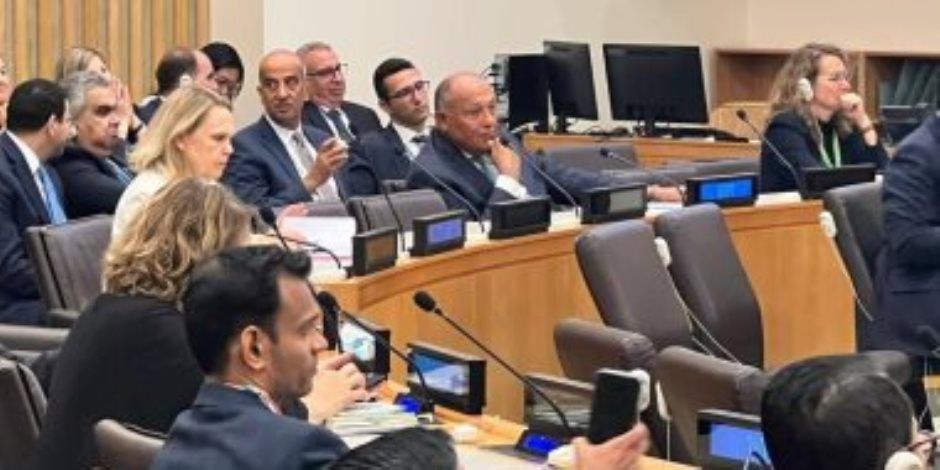 شكرى يؤكد التزام مصر الثابت تجاه الحفاظ على حقوق اللاجئين الفلسطينيين