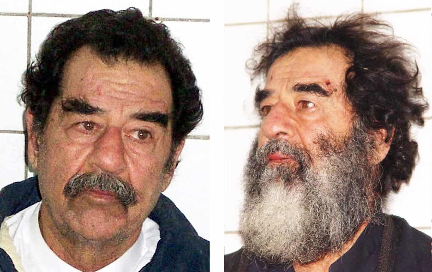 رئيس عربي يفجر مفاجأة مدوية ويفضح من تسبب في إعدام القذافي وصدام حسين