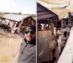 مواطن سعودي يعثر على عشة غامضة وموحشة تثير ضجة وخوف في المملكة ..اتفرج