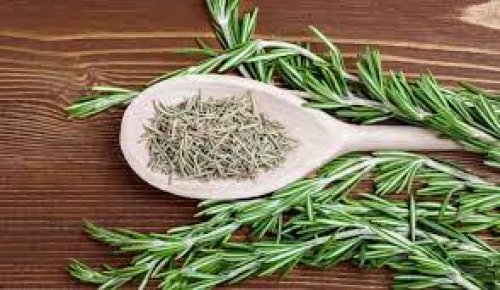 أقوى تريليون مرة من إبر الانسولين.. عشبة رهيبة تخفض مستوى السكر في الدم فوراً وتقلل من تركيز الجلوكوز .. جربيها انت ولاتتردد