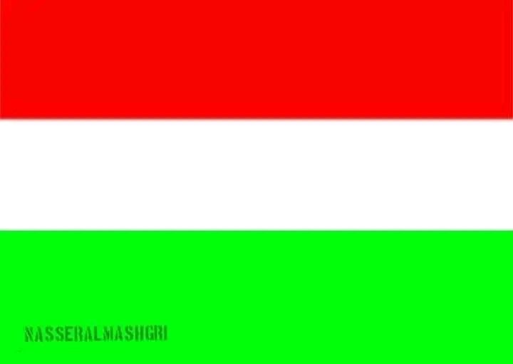 اتفرج الشكل الجديد للعلم اليمني في مناطق سيطرة حكومة صنعاء الانقلابية وتفاصيل موعد اعتماده رسمياً