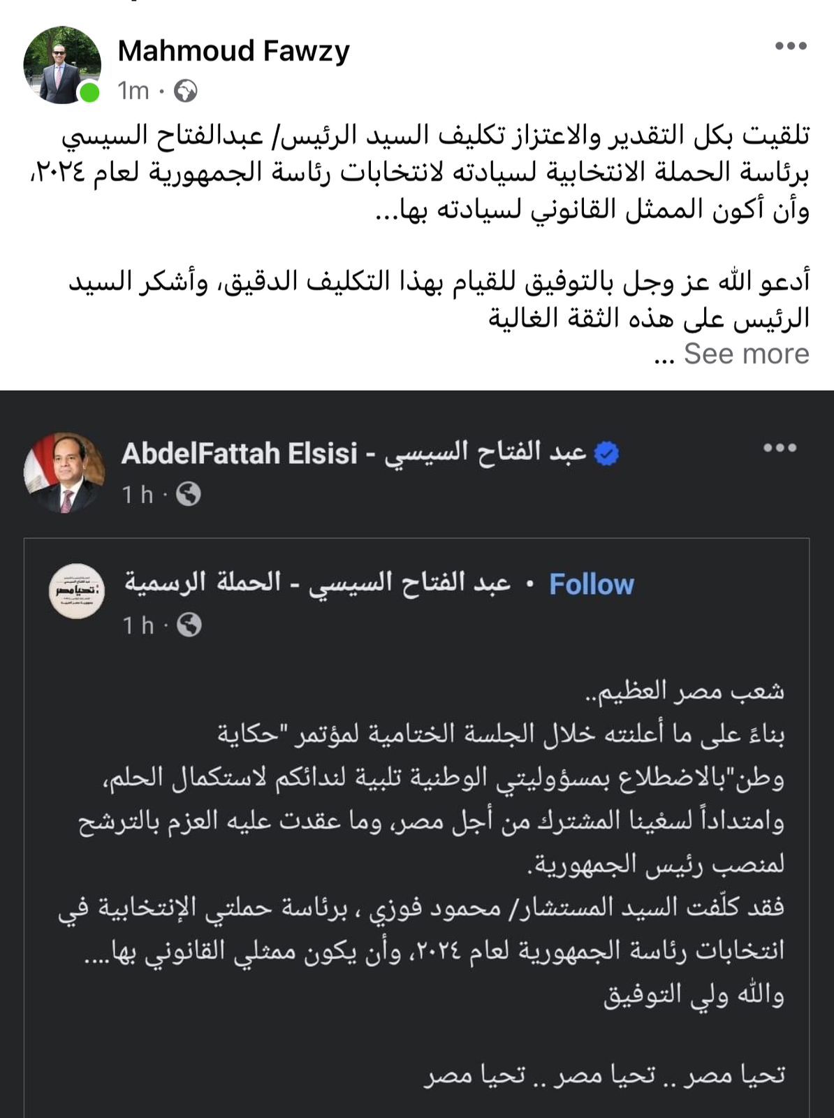 محمود فوزى بعد تكليفه برئاسة حملة الرئيس السيسى الانتخابية: شكرًا على الثقة