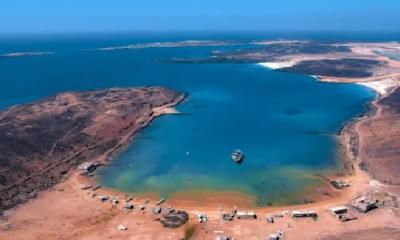 أخبار اليمن : الثروة السمكية تدين استحداثات دول العدوان في جزيرة ميون