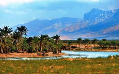 أخبار اليمن : السلطة المحلية بسقطرى تدين بشدة انتهاكات العدوان في المحافظات المحتلة