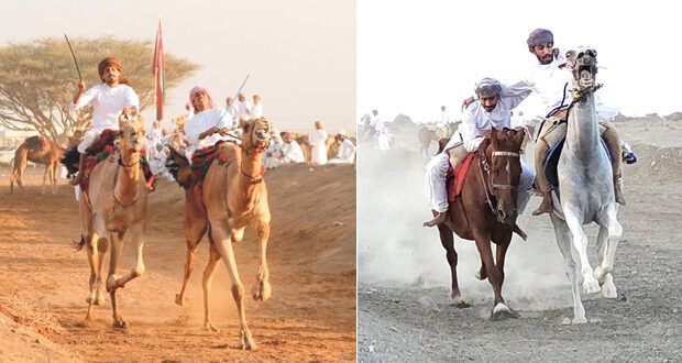 مهرجان لركضة عرضة الخيل التقليدية بسناو وانطلاق مهرجان العرضة والزمط ببدية