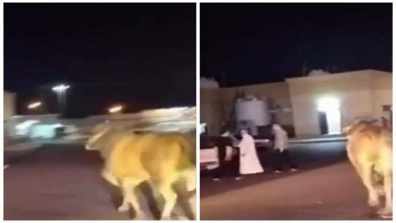 هذا ماحدث في شوارع المدينه المنورة واثار الرعب والهلع وخسائر كبيرة !..اتفرج