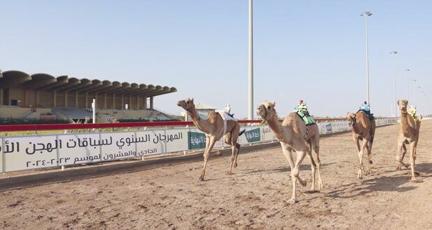 إثنا عشر شوطا فـي اليوم الثاني بالسباق الثالث من المهرجان السنوي للهجن الأهلية بولاية أدم