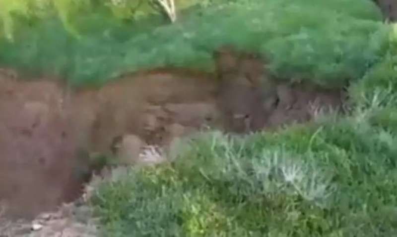 يا الله..الأرض تبتلع الأشجار والنباتات في دولة عربية والأهالي يستغيثون..اتفرج