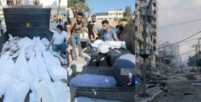 أخبار اليمن : ارتفاع عدد الشهداء الفلسطينيين إلى 2837