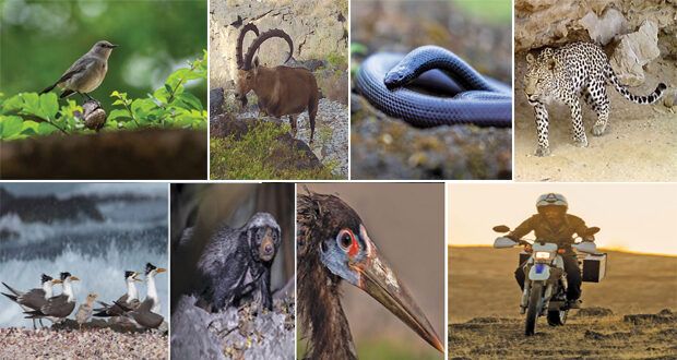 محمد الرواس .. طيار درون ومصور يجوب السهول والهضاب ليقتنص صور نادرة